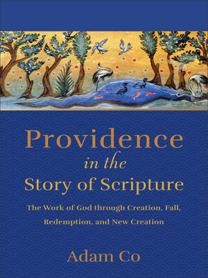 cover image of Providence in the Story of Scripture
